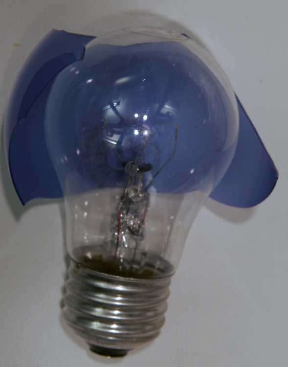 Blue bulb